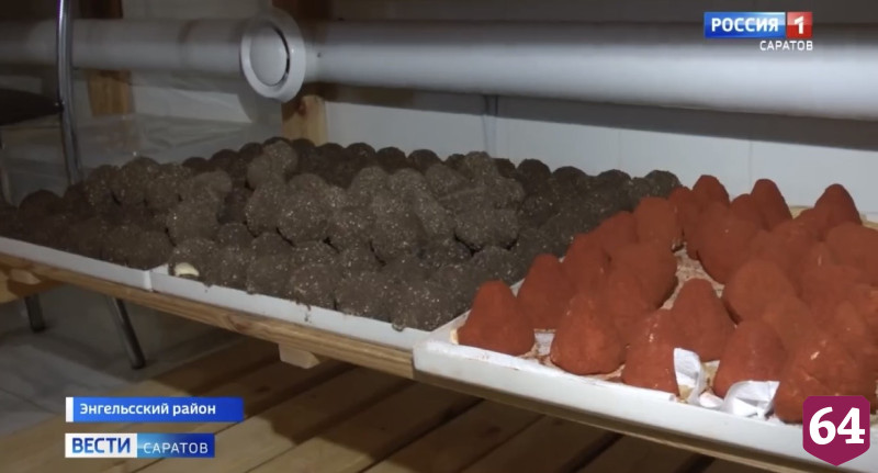 В Саратовской области начали производство сыра с чернилами каракатицы и трюфелем